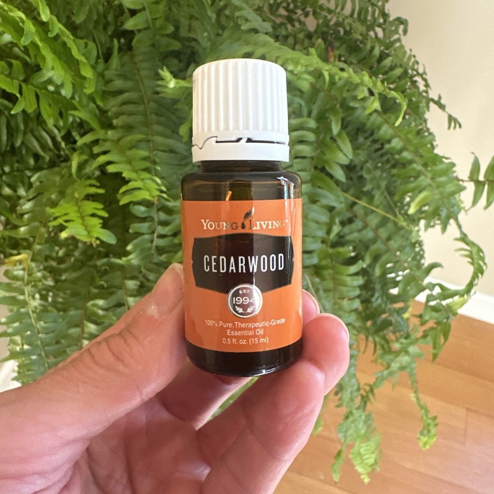 Cedarwood Young Living Essential Oil 15ml NEW Unopened